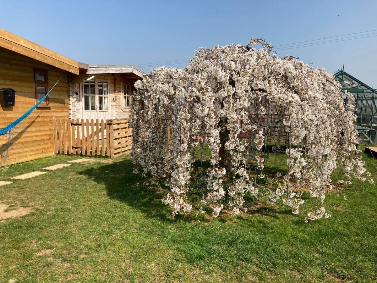 The Retreat Hotell Hornblotton Eksteriør bilde